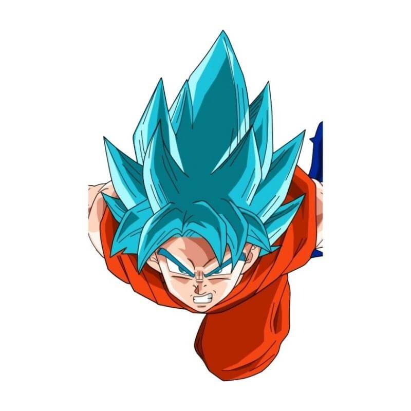 Décoration dragon ball z, figurine dragon ball z, Vêtements dragon ball, coques