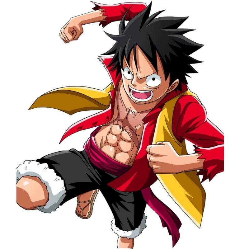 decoration one piece, figurines one piece, vetement one piece, coque one piece