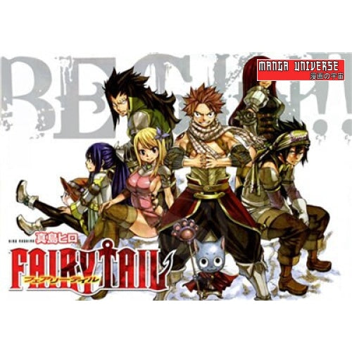 POSTER FAIRY TAIL après la bagarre - 20X30cm