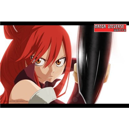 POSTER FAIRY TAIL GIRL FIGHT - 20x30cm
