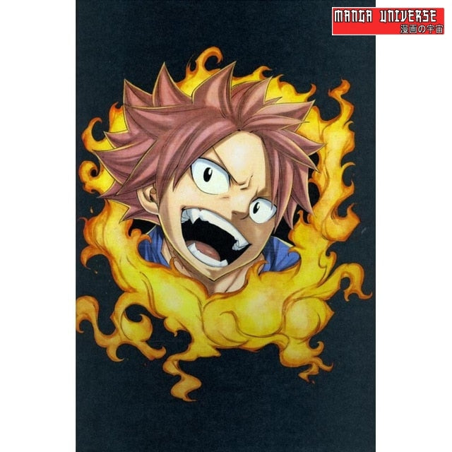 POSTER FAIRY TAIL NATSU - 20 X 30cm