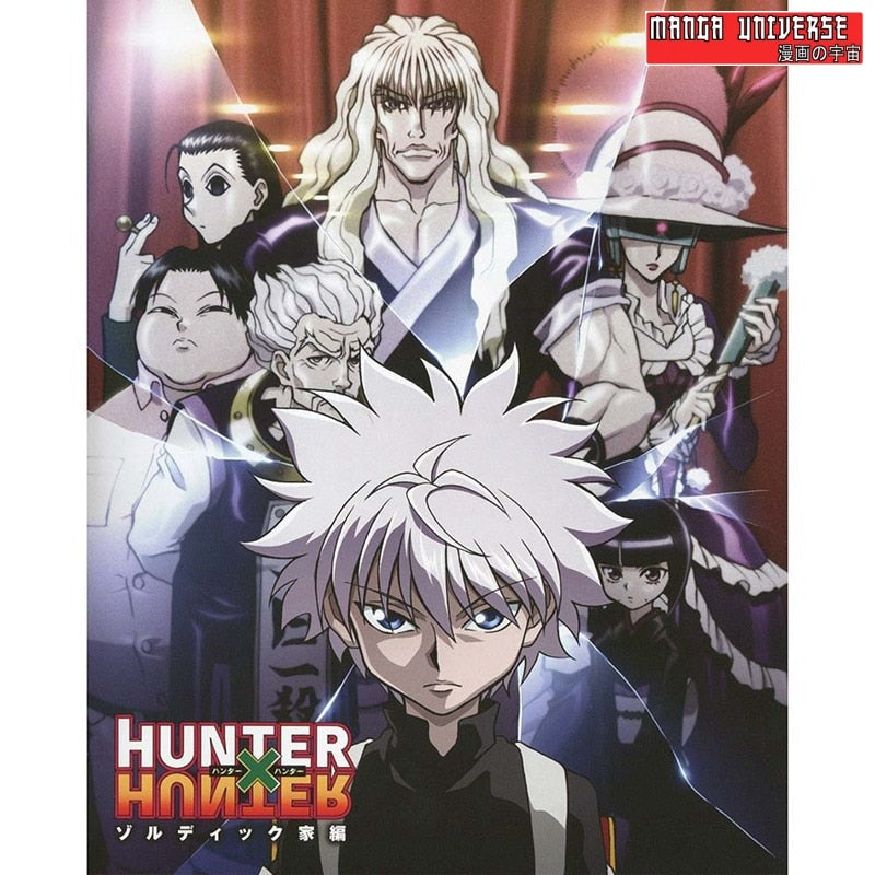 POSTER HUNTER X HUNTER - 20x30cm