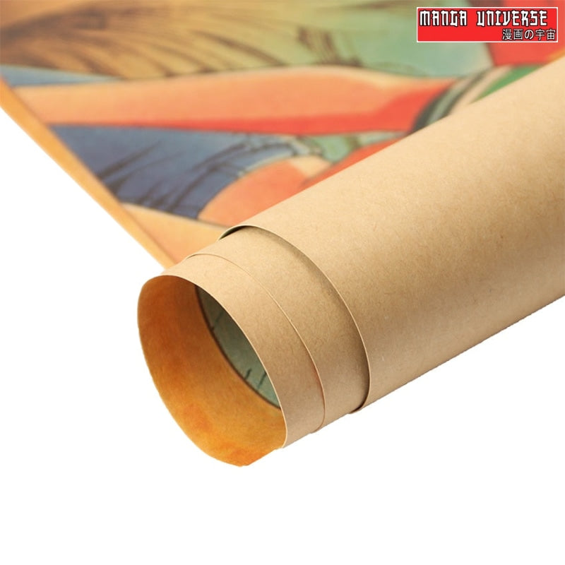 Poster one piece équipage