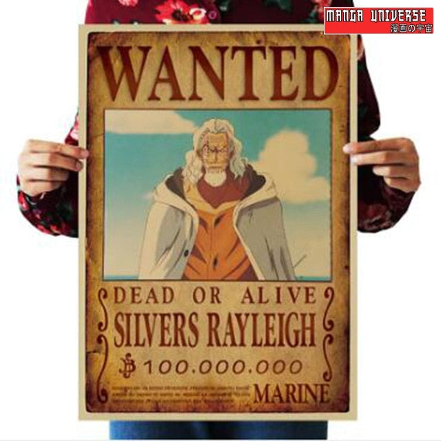 Poster one piece wanted rayleigh